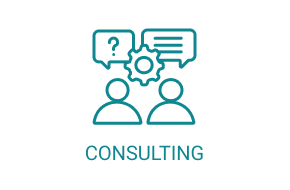 Consulting